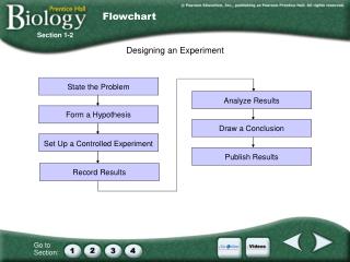 Designing an Experiment