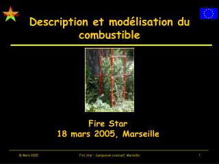 Description et modélisation du combustible