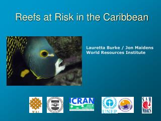 Reefs at Risk in the Caribbean