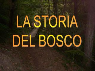 LA STORIA DEL BOSCO