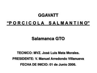 GGAVATT “P O R C I C O L A S A L M A N T I N O” Salamanca GTO