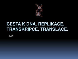 Cesta k DNA. Replikace, transkripce, translace.