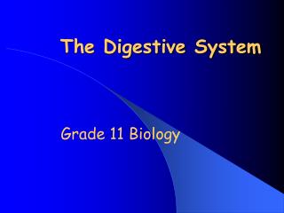 The Digestive System