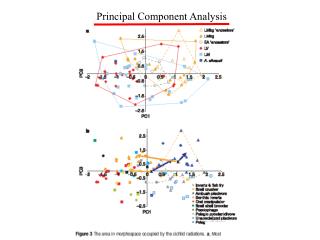 Principal Component Analysis