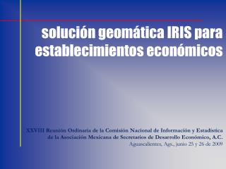 solución geomática IRIS para establecimientos económicos