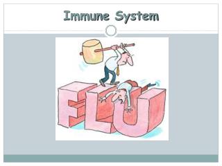 Immune System