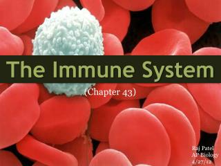 The Immune System