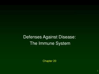 Chapter 20