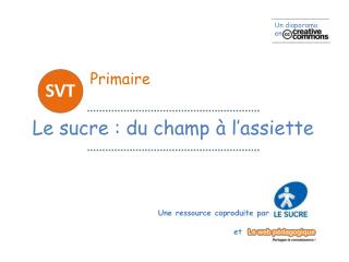 Primaire