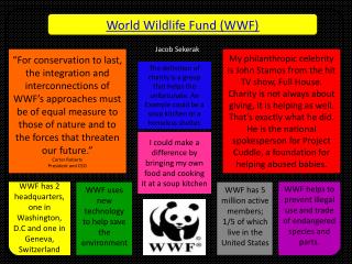 World Wildlife Fund (WWF)