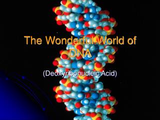 The Wonderful World of DNA