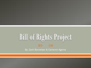 Bill of Rights Project