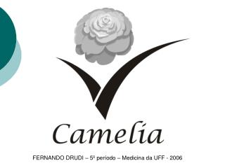 FERNANDO DRUDI – 5º período – Medicina da UFF - 2006