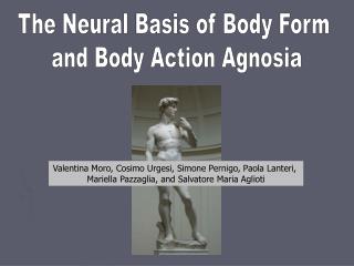 The Neural Basis of Body Form and Body Action Agnosia