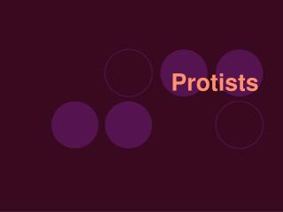 Protists