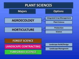 PLANT SCIENCES