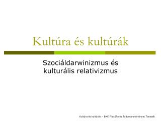 Kultúra és kultúrák
