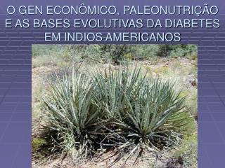 O GEN ECONÔMICO, PALEONUTRIÇÃO E AS BASES EVOLUTIVAS DA DIABETES EM INDIOS AMERICANOS