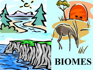 Earth’s biomes