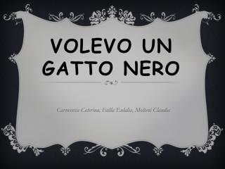 VOLEVO UN GATTO NERO