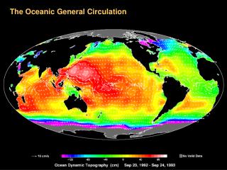 The Oceanic General Circulation