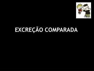 EXCREÇÃO COMPARADA