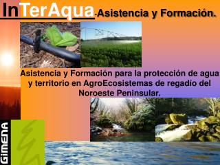 In TerAqua - Asistencia y Formación.