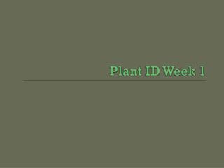 Plant ID Week 1