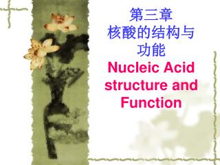 第三章 核酸的结构与 功能 Nucleic Acid structure and Function