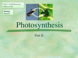 Photosynthesis