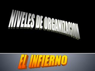 NIVELES DE ORGANIZACION