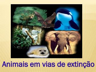 Animais em vias de extinção