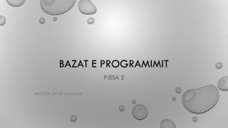 Bazat e Programimit