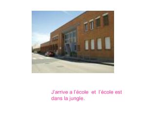 J’arrive a l’école et l’école est dans la jungle.