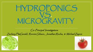 Hydroponics vs . microgravity