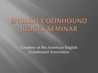 English Coonhound Judges Seminar