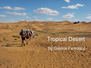 Tropical Desert