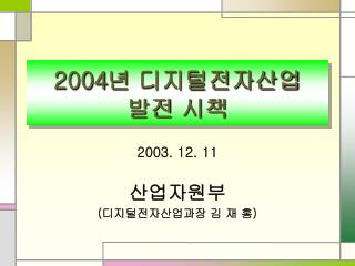 2004 년 디지털전자산업 발전 시책