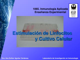 Estimulación de Linfocitos y Cultivo Celular