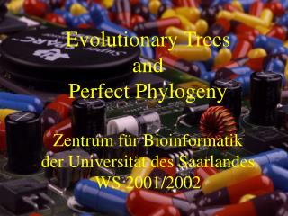 Evolutionary Trees and Perfect Phylogeny Zentrum für Bioinformatik der Universität des Saarlandes