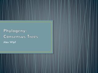 Phylogeny: Consensus Trees