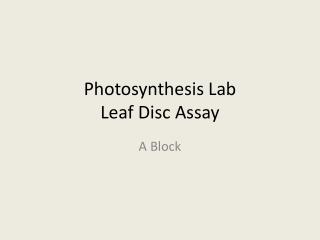 Photosynthesis Lab Leaf Disc Assay