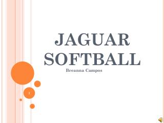 JAGUAR SOFTBALL