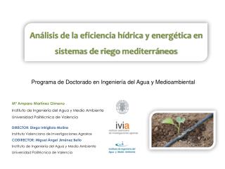 Análisis de la eficiencia hídrica y energética en sistemas de riego mediterráneos