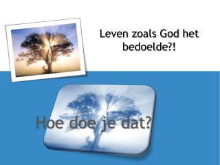 Leven zoals God het bedoelde?!