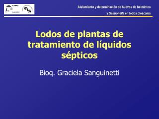Lodos de plantas de tratamiento de líquidos sépticos