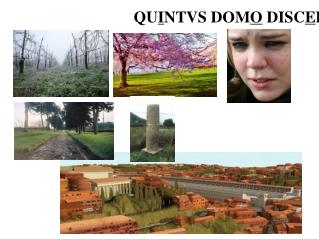QU I NTVS DOM O DISC E DIT