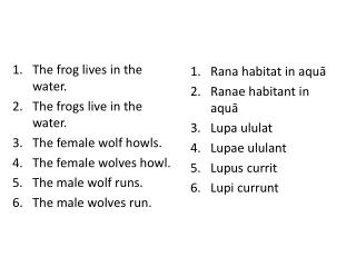 The frog lives in the water. The frogs live in the water.