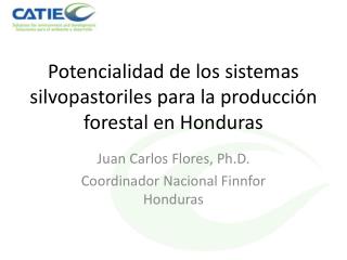Potencialidad de los sistemas silvopastoriles para la producción forestal en Honduras