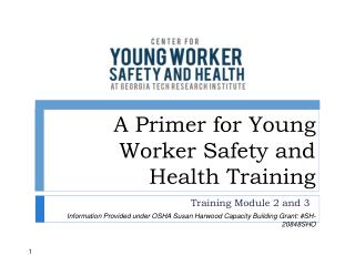 A Primer for Young Worker Safety and Health Training